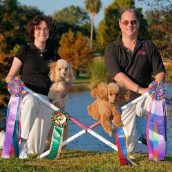 Corey and Rusty with some of their winning agility